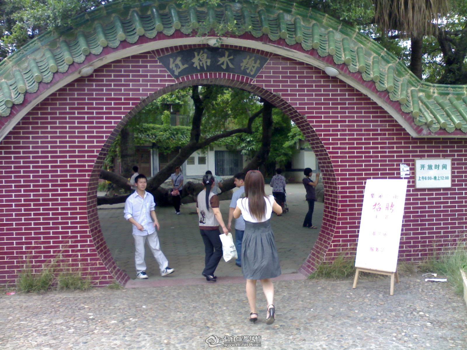 20110502257.jpg