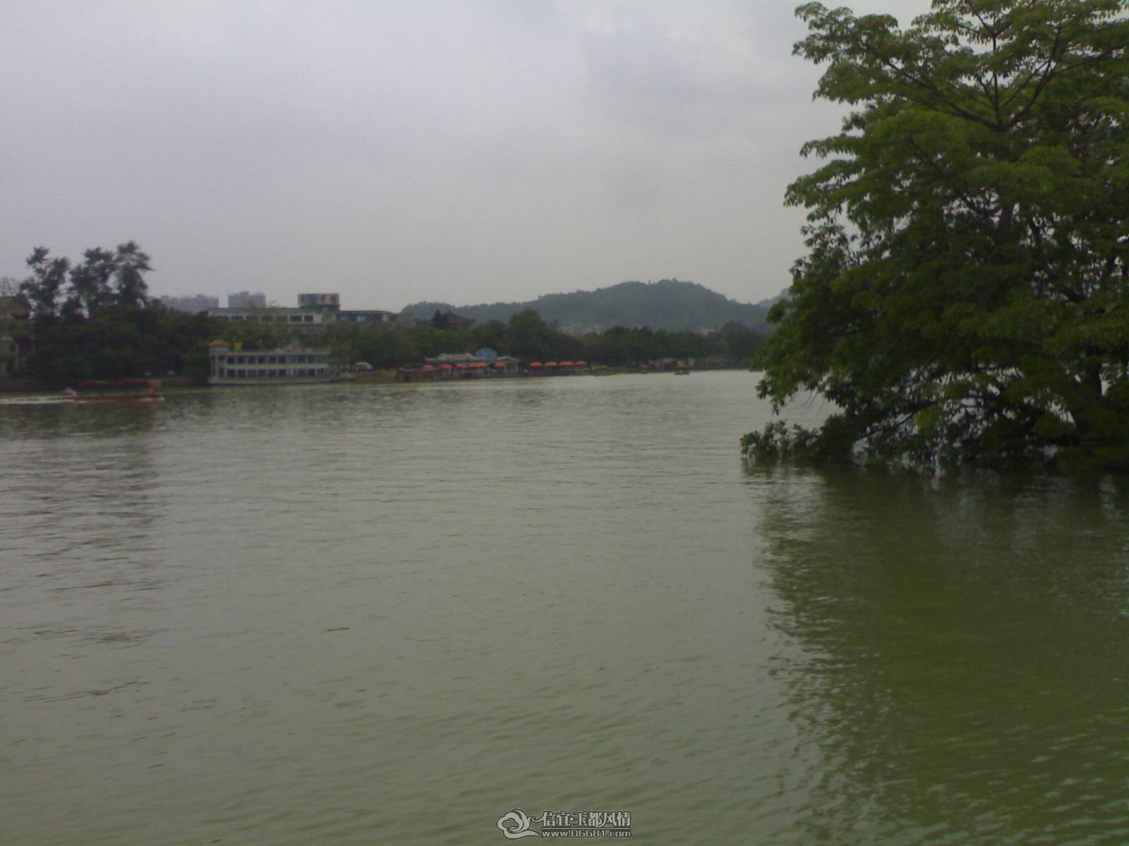 20110502259.jpg