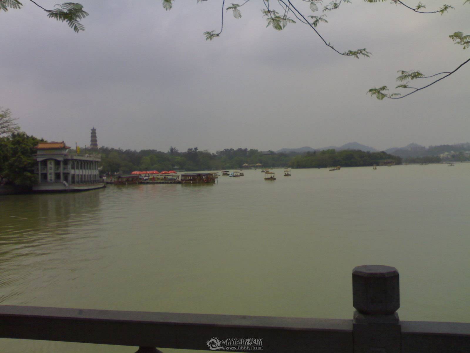 20110502264.jpg