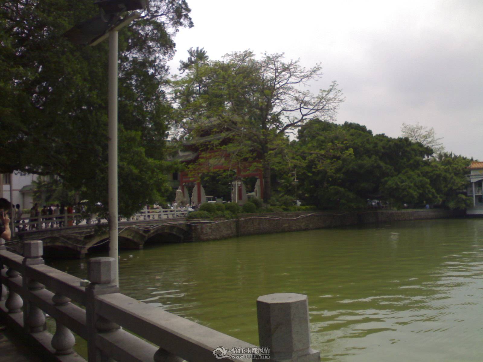 20110502265.jpg