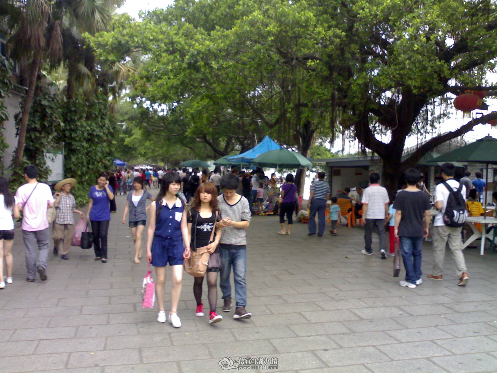 20110502272.jpg