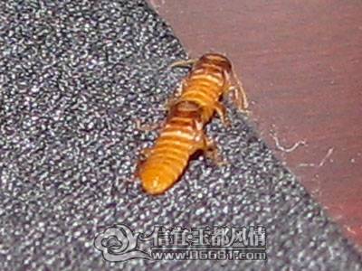 IMG_5428.jpg