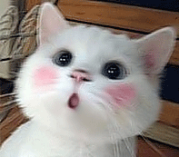 ΢Ц.gif