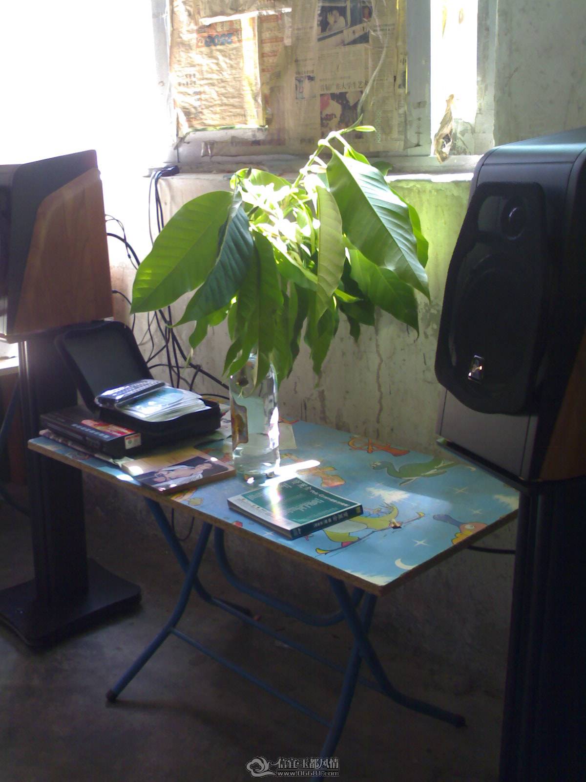 20110519039.jpg