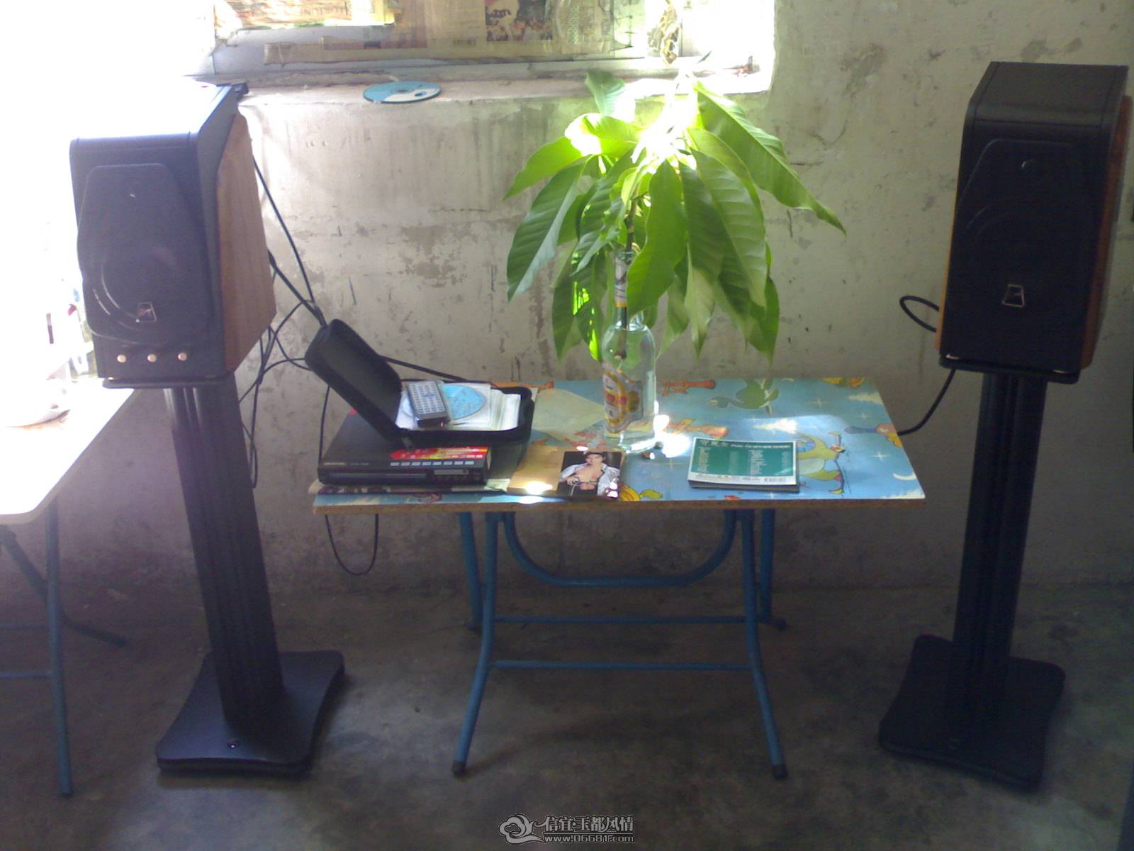 20110519044.jpg