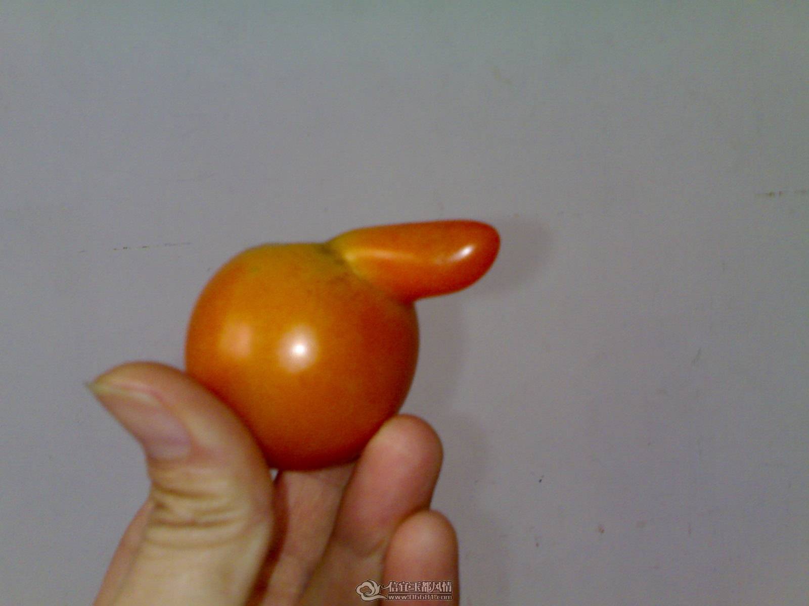 20110524447.jpg