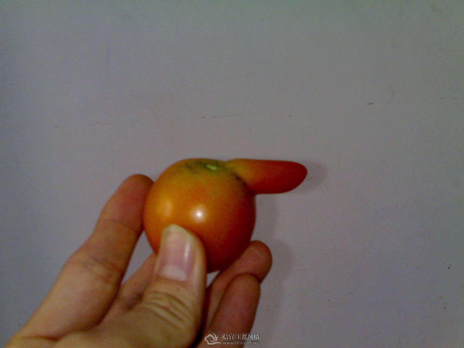 20110524448.jpg