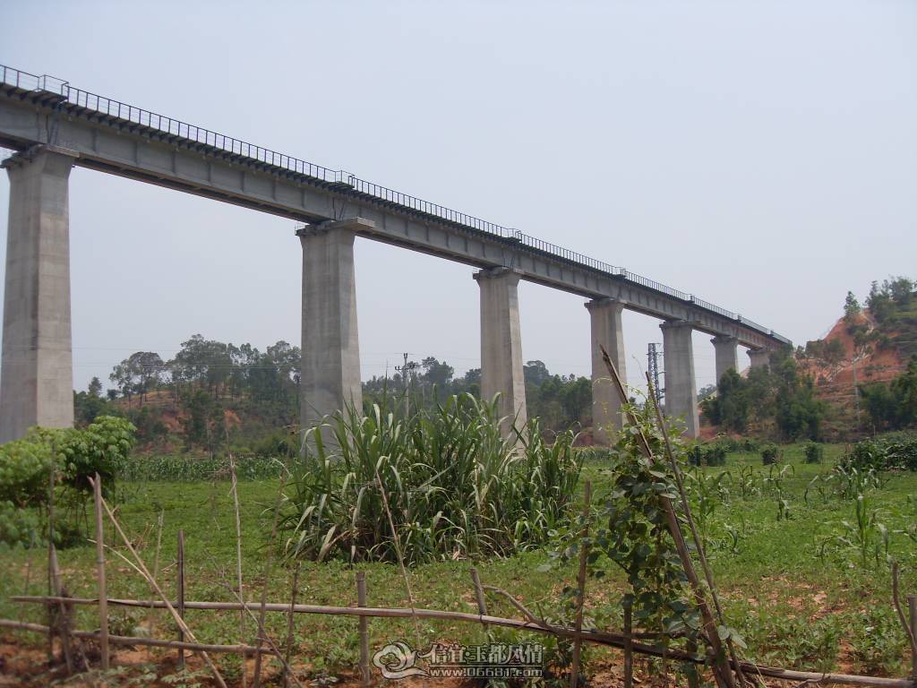 SDC12697.JPG