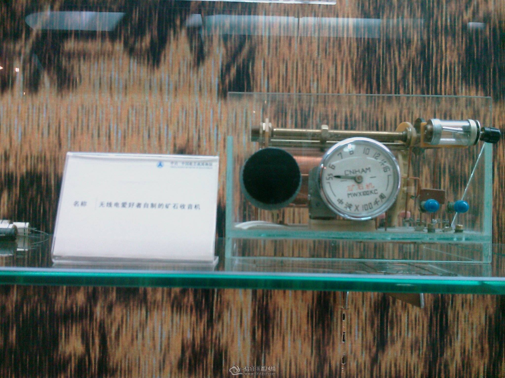 201105280055_129.jpg