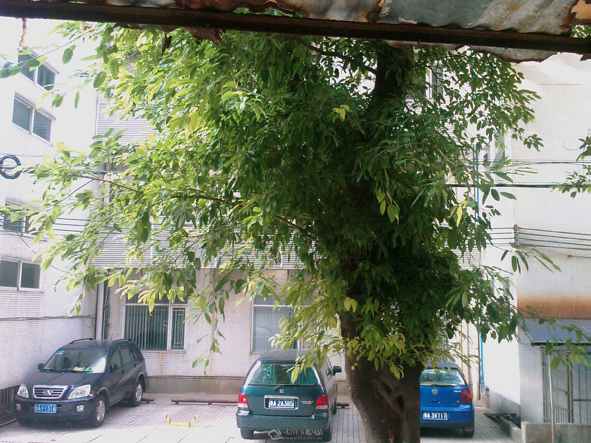 201105272221_114.jpg