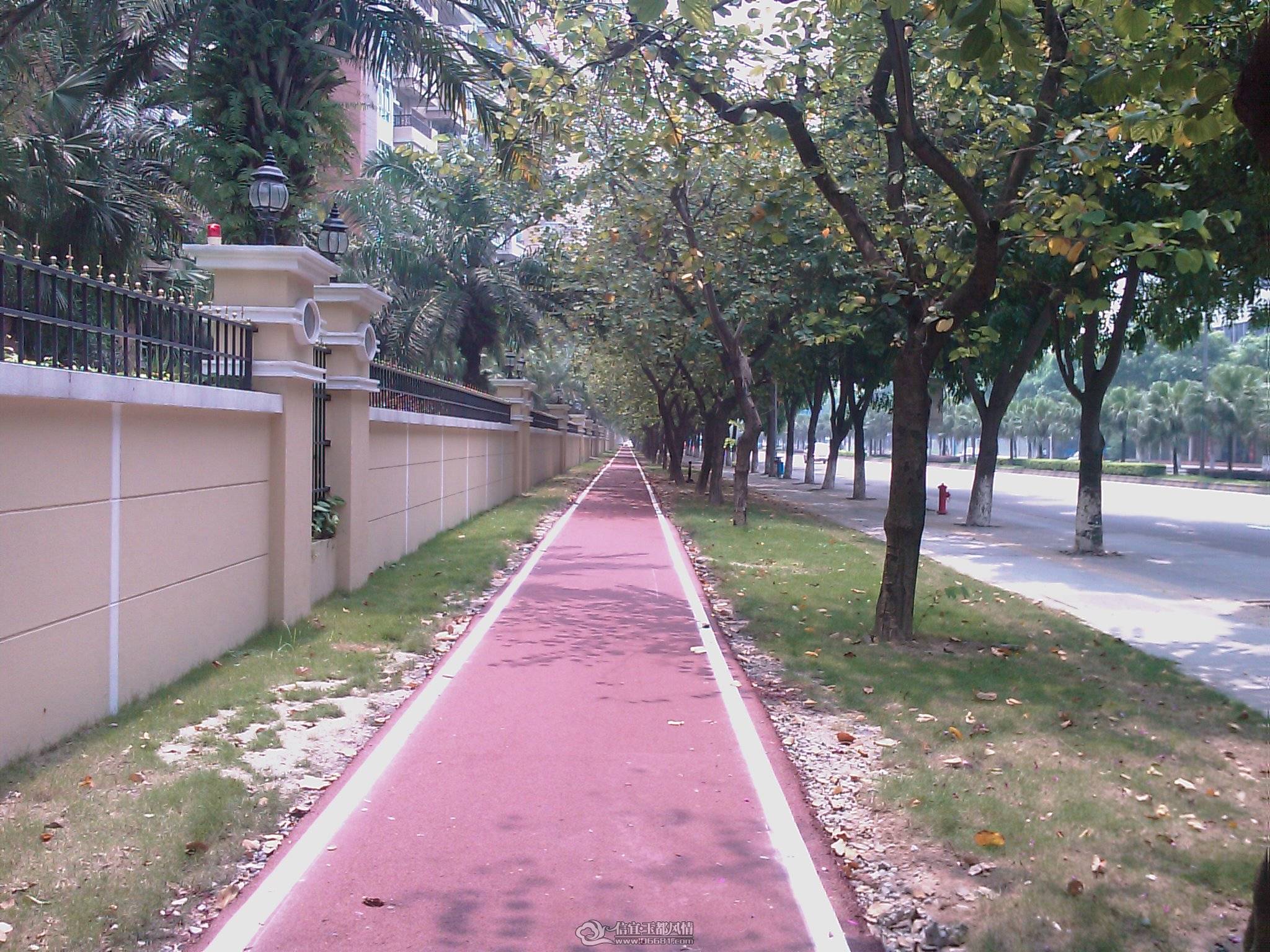 201105280202_141.jpg