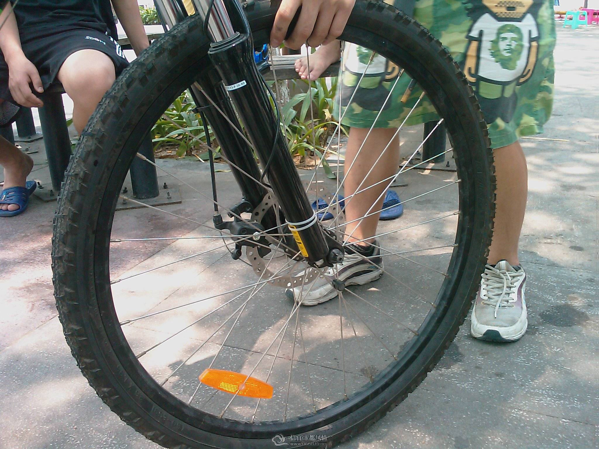 201105280333_145.jpg