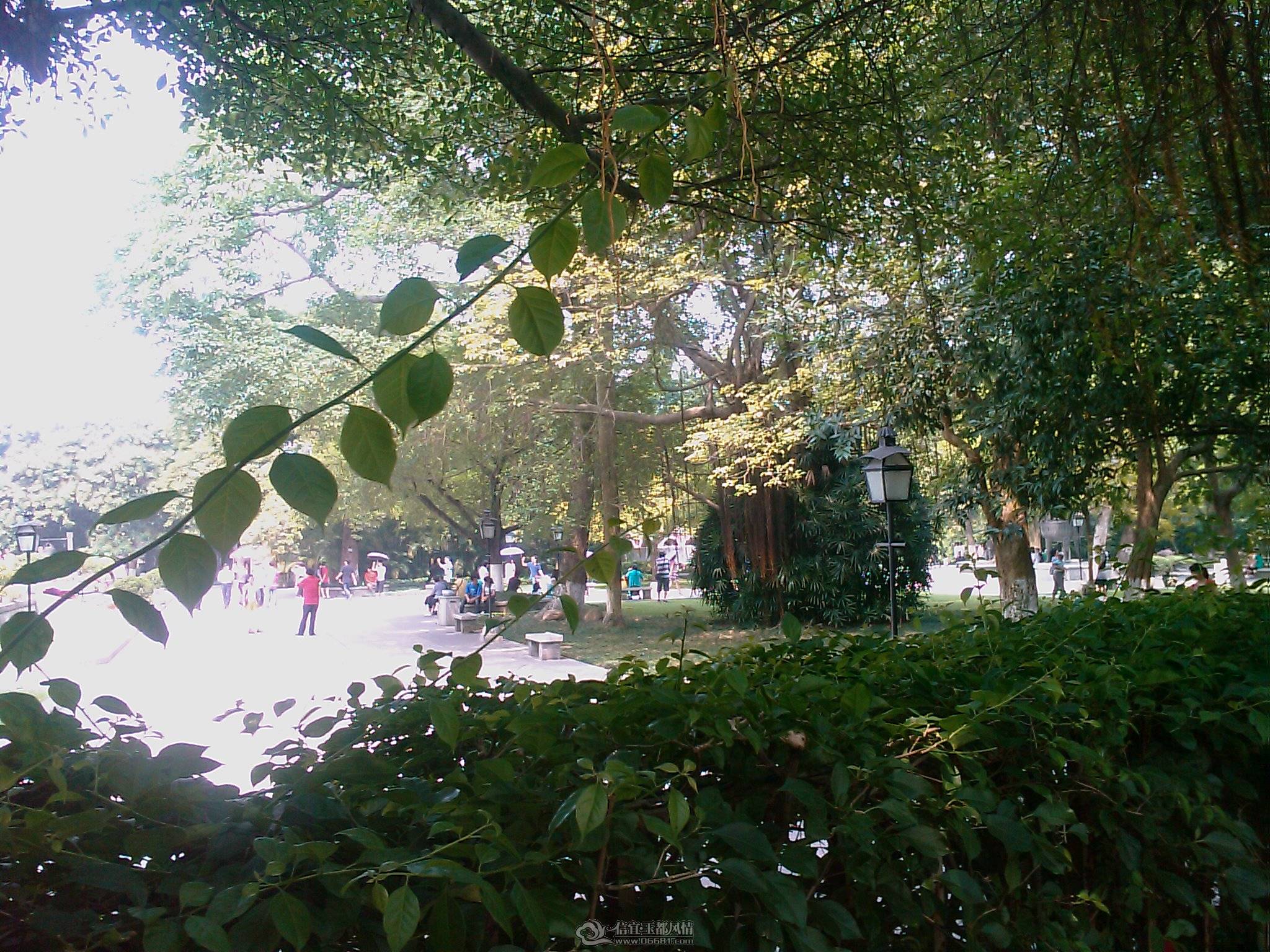 201105280510_153.jpg