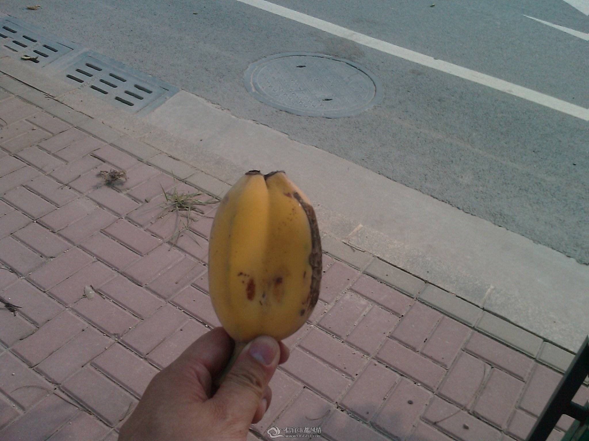 201105280627_172.jpg