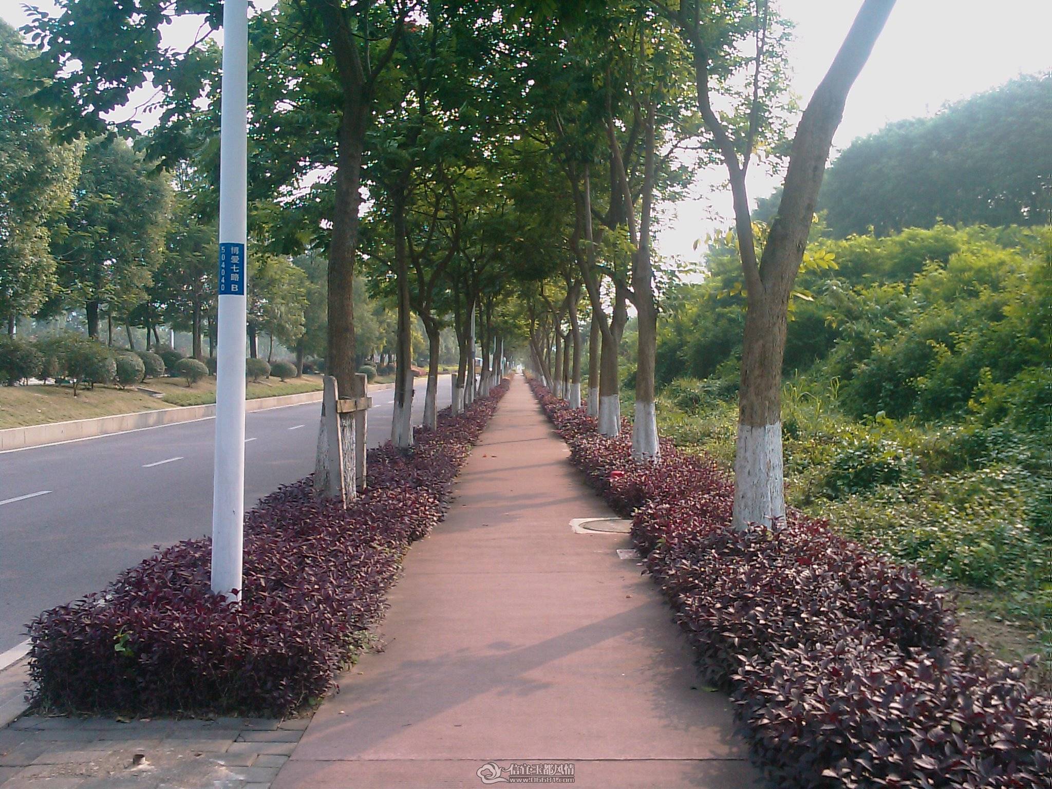 201105280720_177.jpg