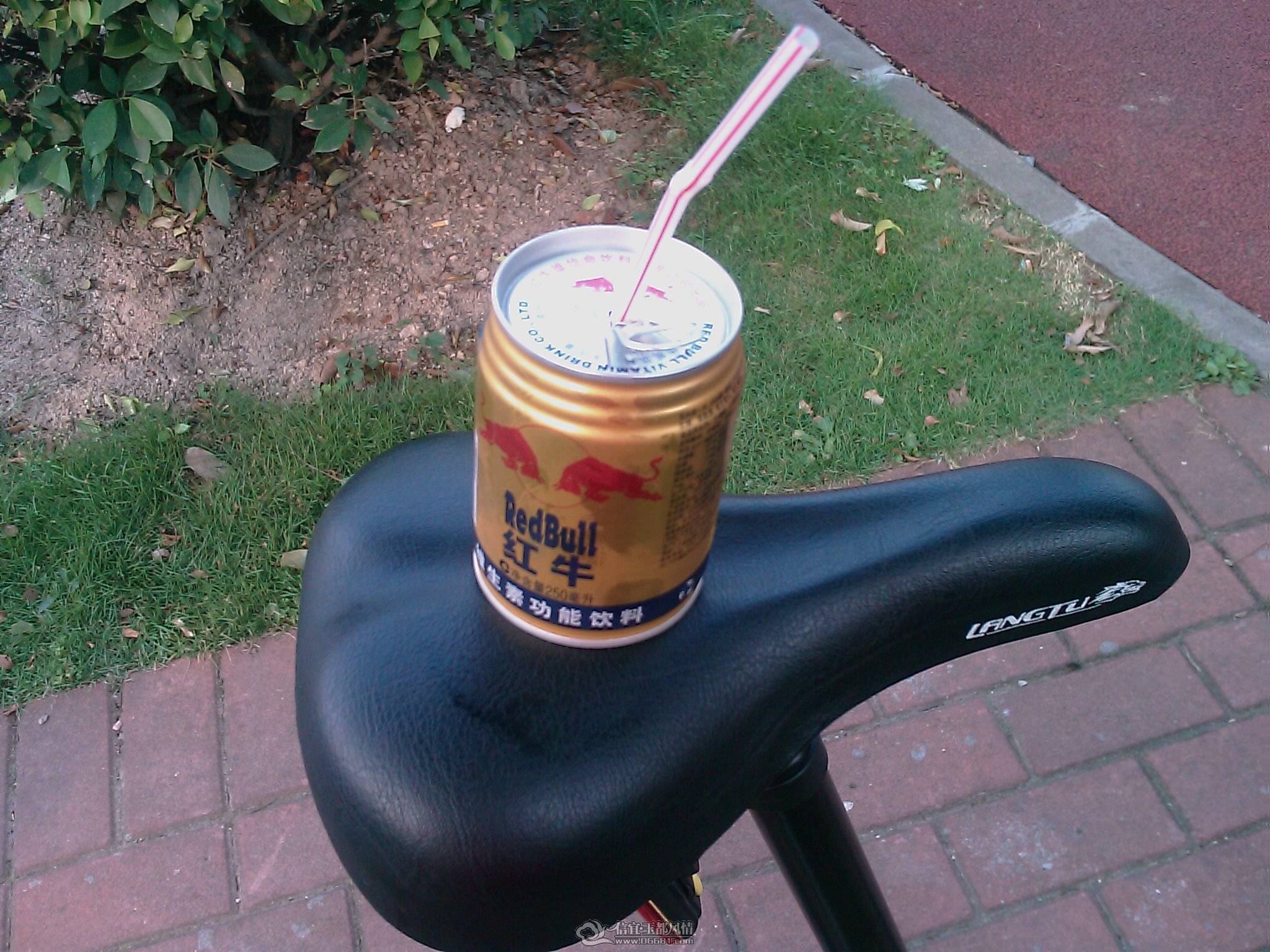 201105280749_180.jpg