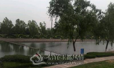 IMG0090A.jpg