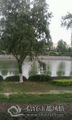 IMG0114A.jpg