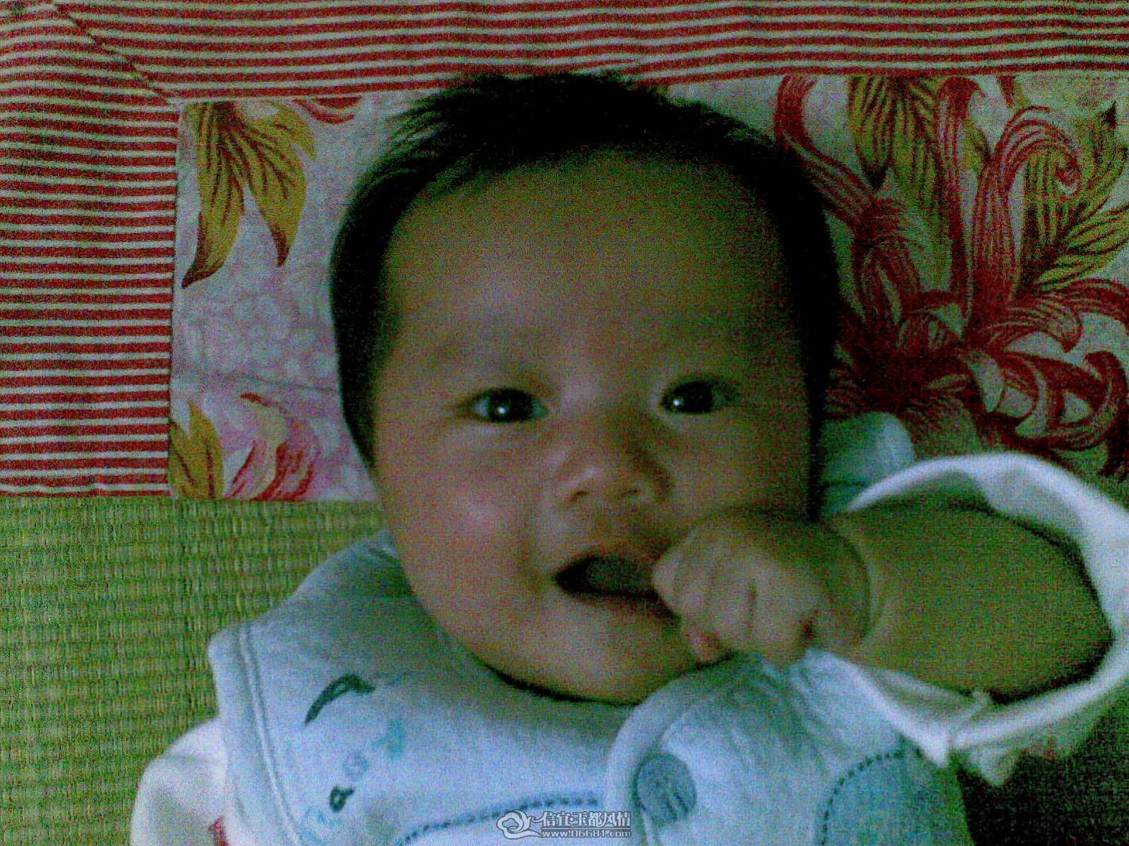 20110523_002.jpg