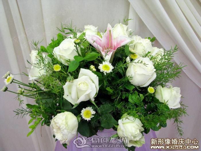 �ʻ�����-����Ƭ���������ɴ��Ӱ�ṩ������ת�أ�