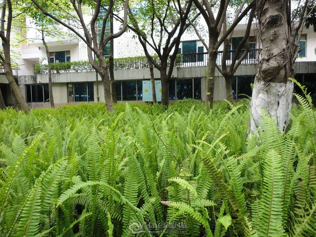 DSC00764.JPG