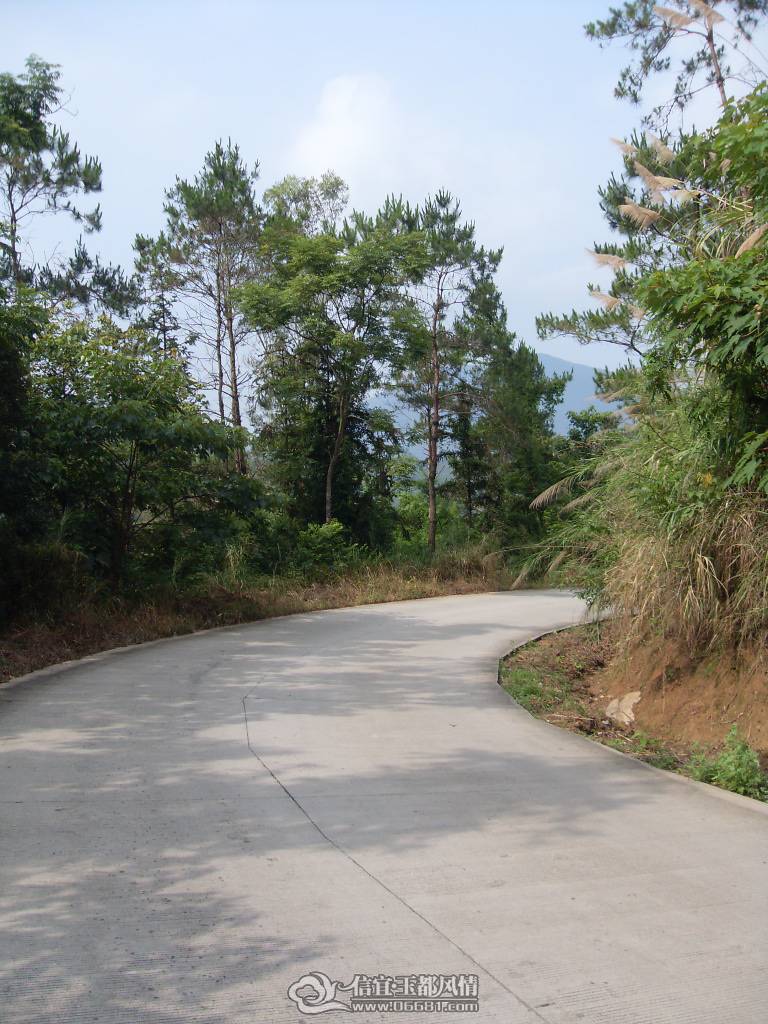 SDC12715.JPG