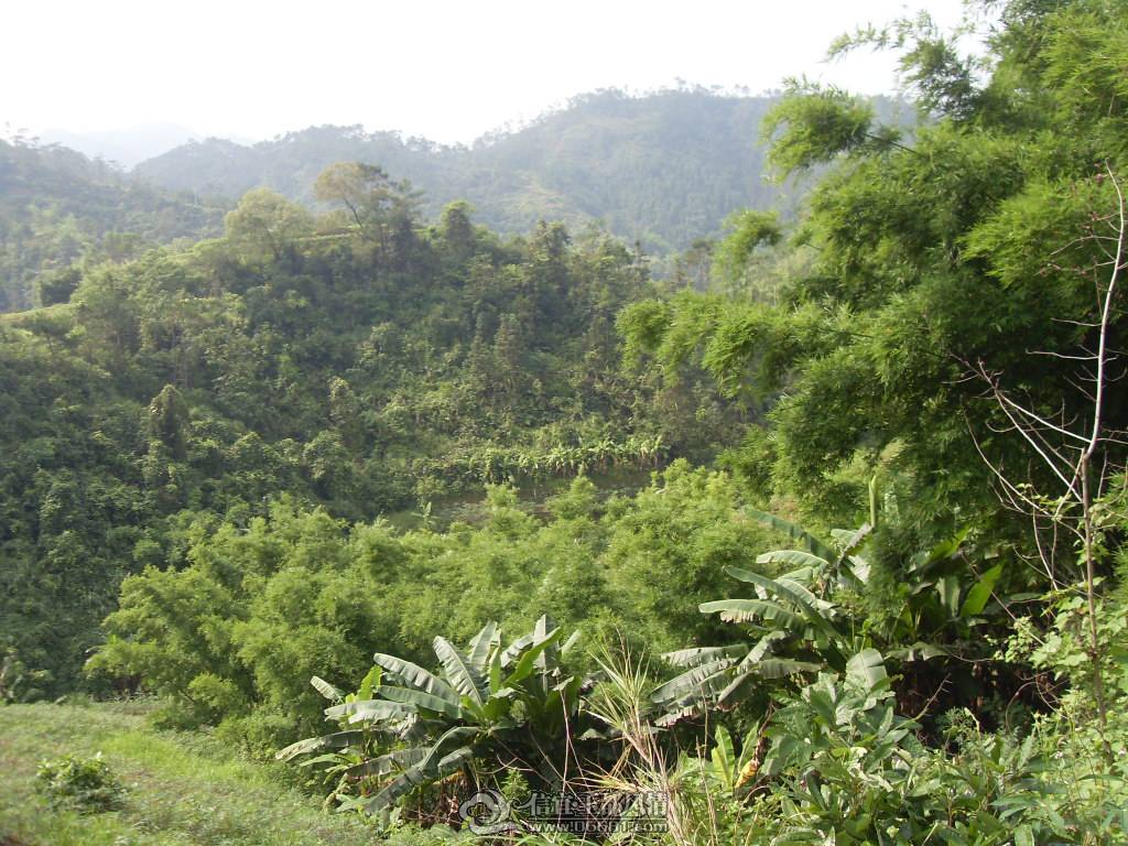 SDC12719.JPG