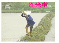 ������.gif