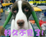 �þò���.gif