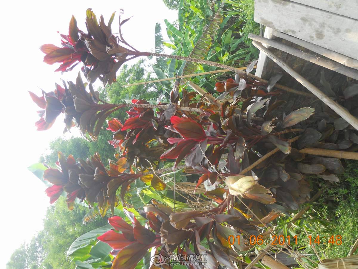 DSCN0165.JPG