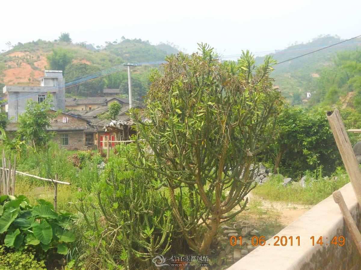 DSCN0166.JPG