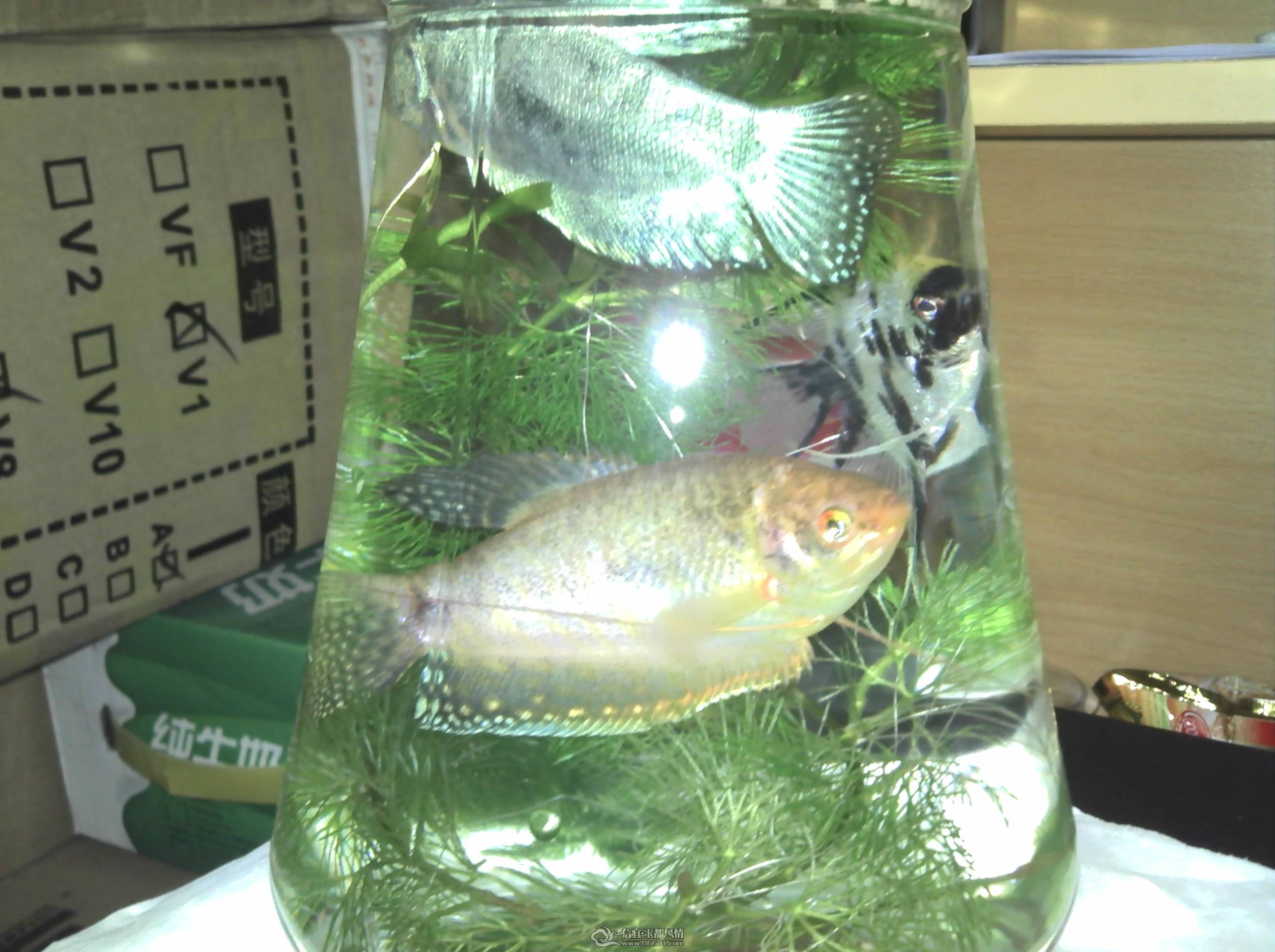 2011-05-27_23-29-49_824.jpg