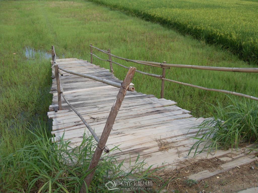 SDC12744.JPG