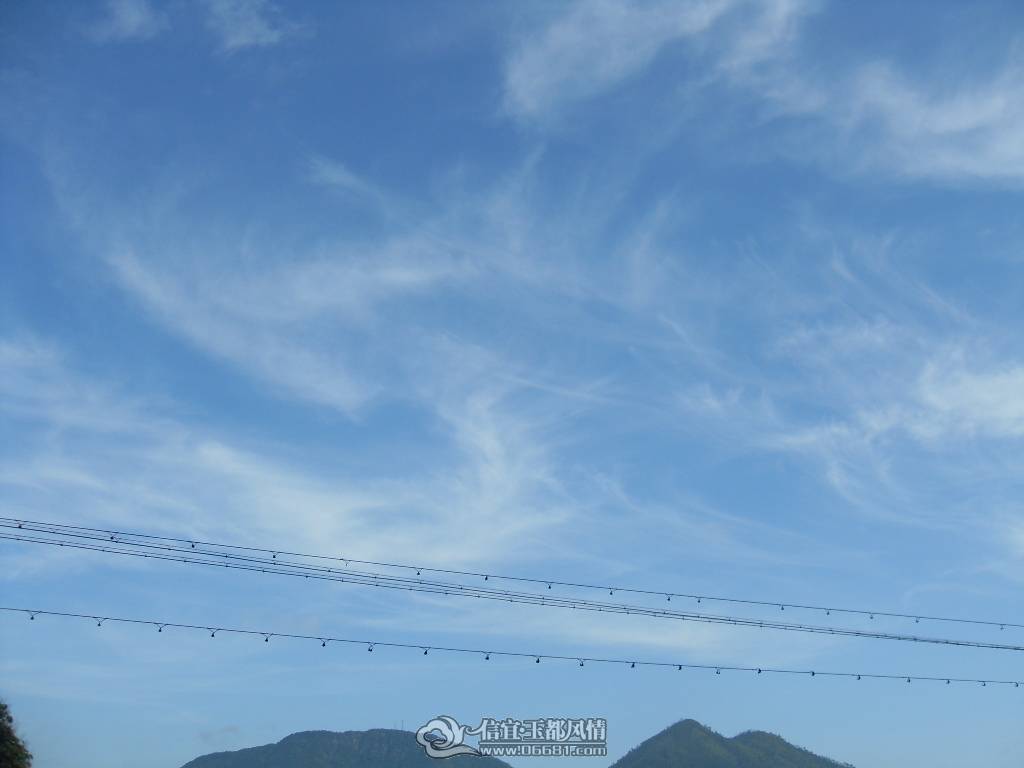 SDC12753.JPG