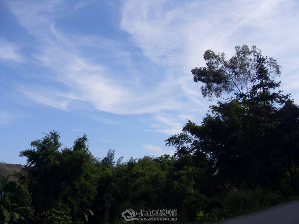 SDC12762.JPG