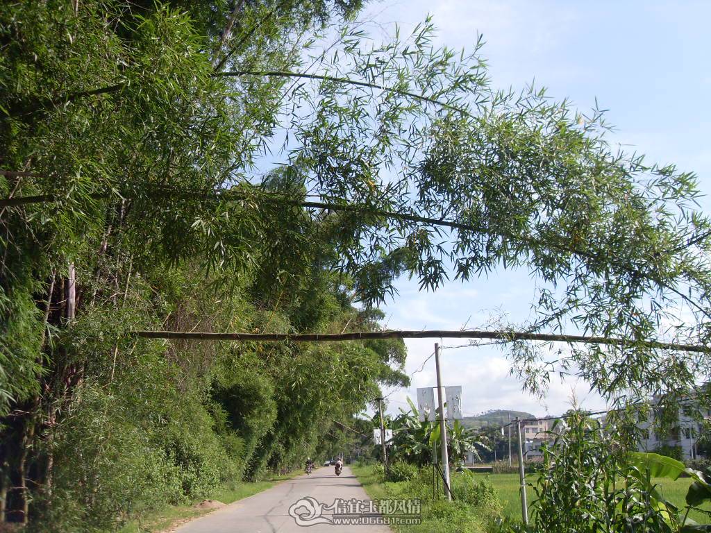 SDC12764.JPG