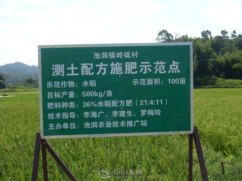 SDC12792.JPG