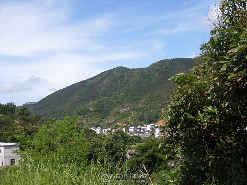 SDC12799.JPG