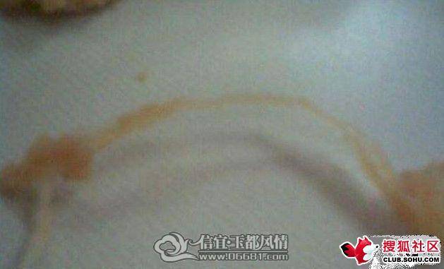 Img310751884.jpg