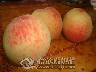 DSC03146_��С��С.JPG