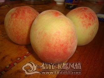 DSC03147_��С��С.JPG