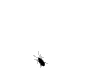 051000004E041F0967585710B4098BBD.gif