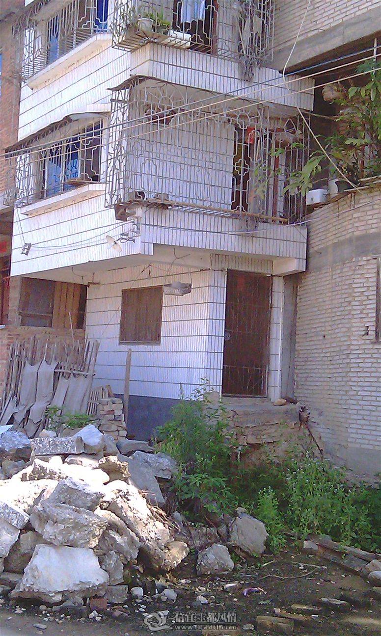 IMAG0223.jpg