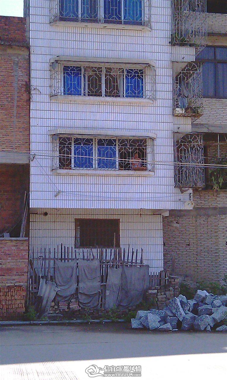 IMAG0224.jpg
