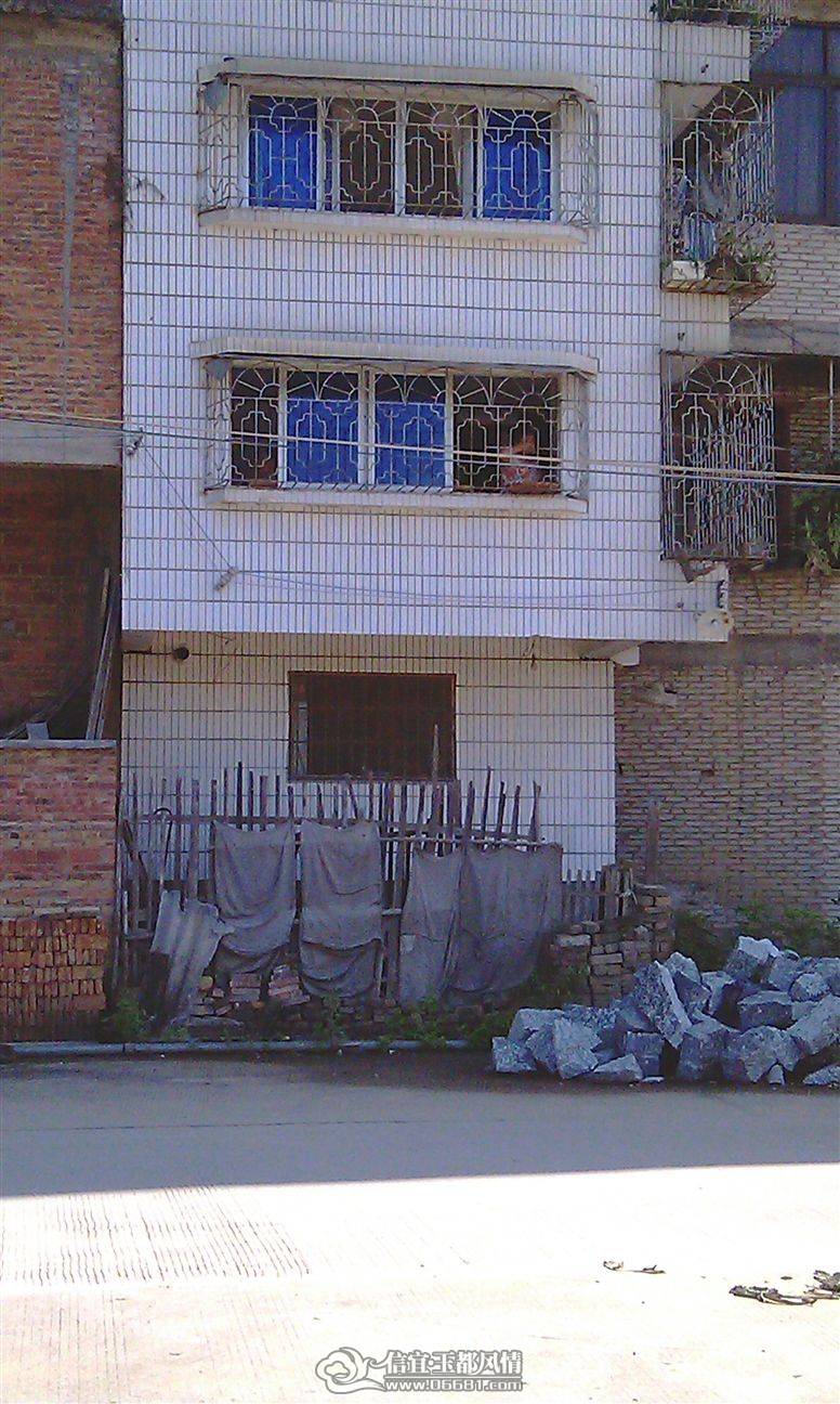 IMAG0225.jpg