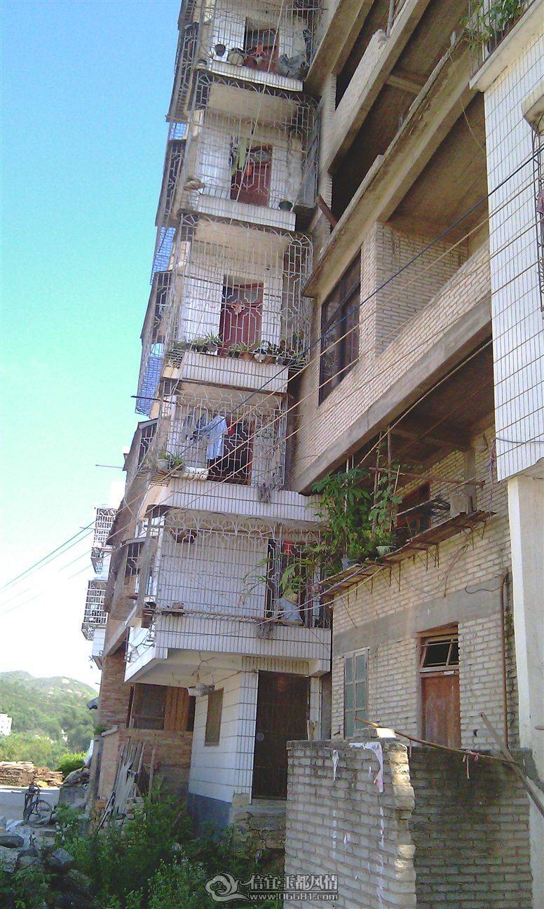 IMAG0227.jpg