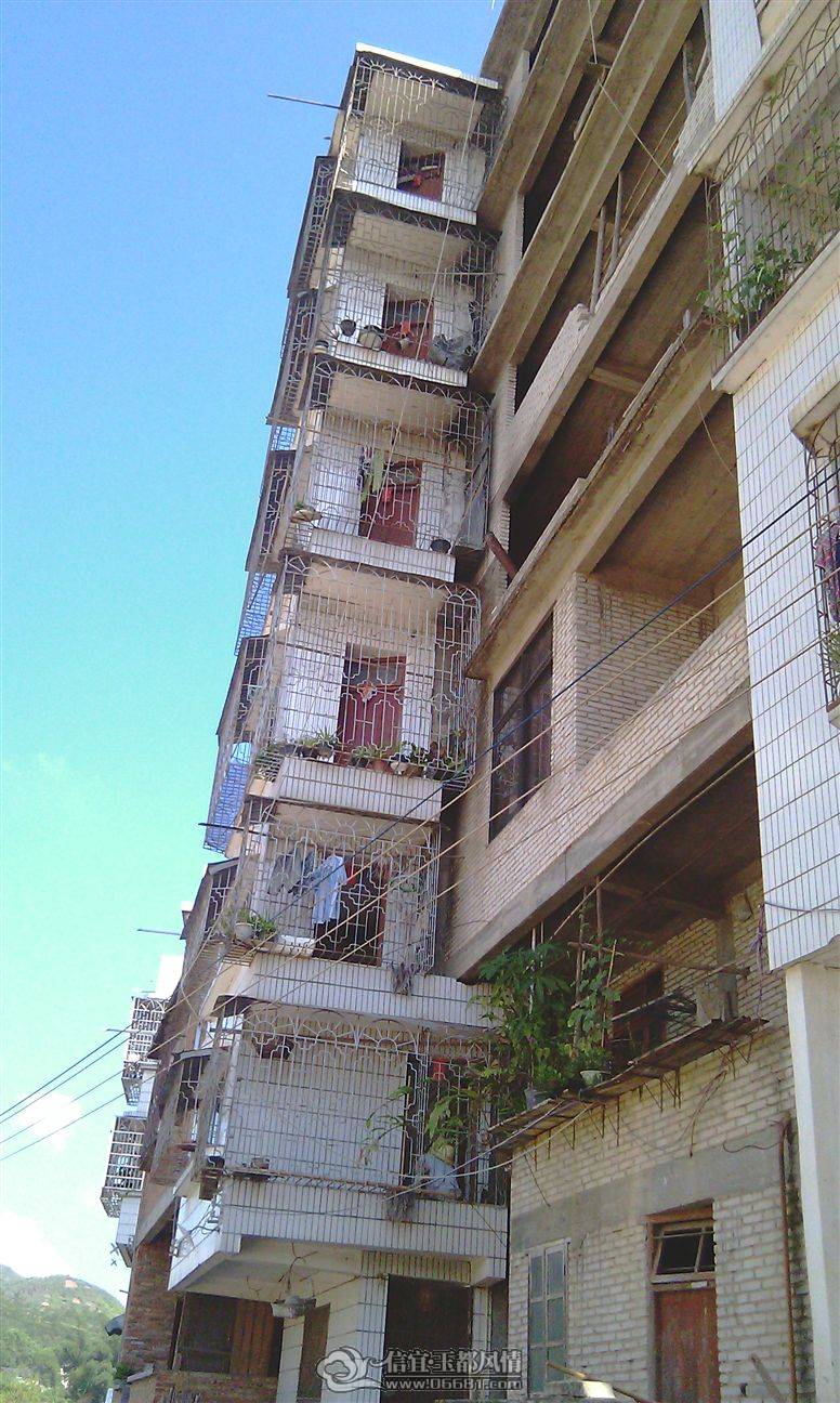 IMAG0228.jpg