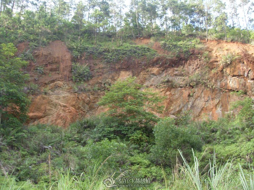 SDC12920.JPG
