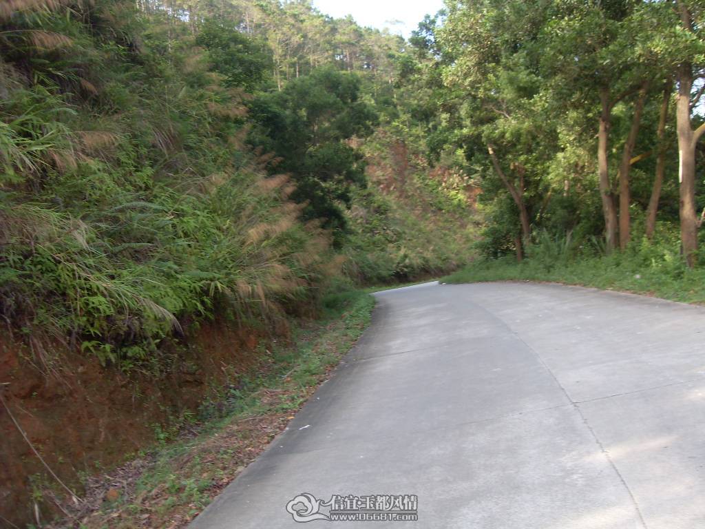 SDC12921.JPG
