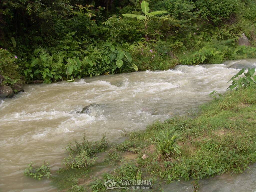 SDC12931.JPG